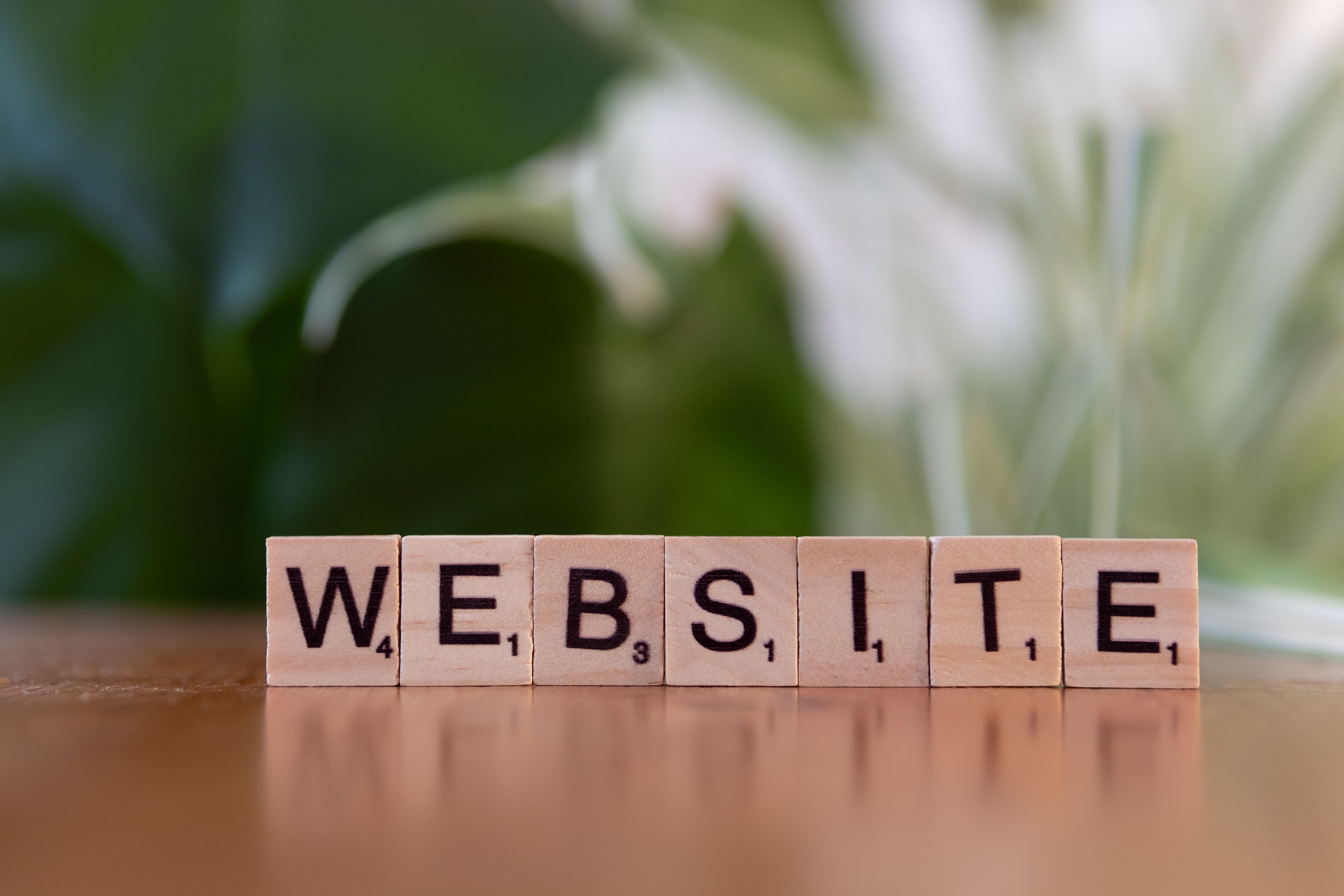 Hostovix Full-Stack Web Development Agency Services